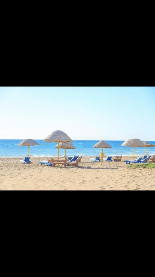 Chalet Cozy Sunny Ground Chalet With Terrace-ras Sudr *